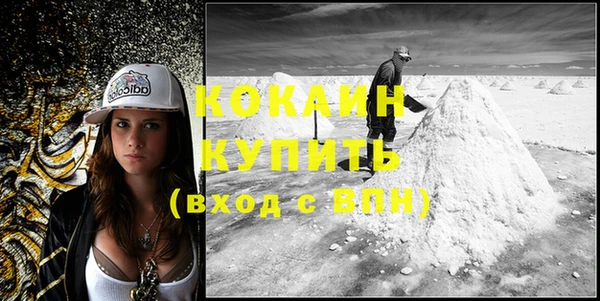 дмт Кинешма