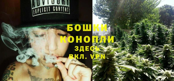 дмт Кинешма