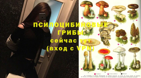 дмт Кинешма