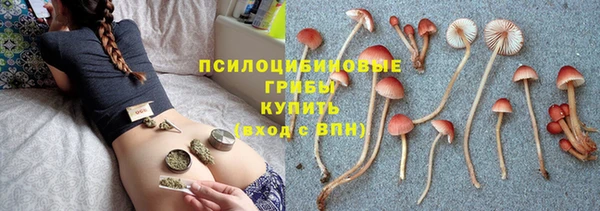 дмт Кинешма